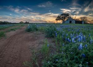 Texas Ranch and Land Photography - Dallas 360 Photography