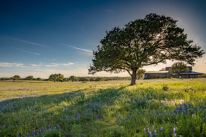 Central Texas Ranch Photography - Dallas 360 Photography